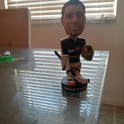 Pittsburgh Penguins 