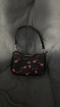 COACH BAG WITH COACH WALLET