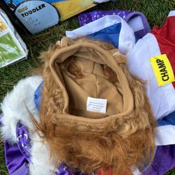 Kids And Pet Halloween Costumes 