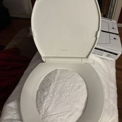 Toilet Seat 