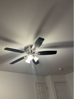 Ceiling fans