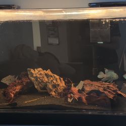 55 Gallon Acrylic Aquarium /Fish Tank W/ Stand