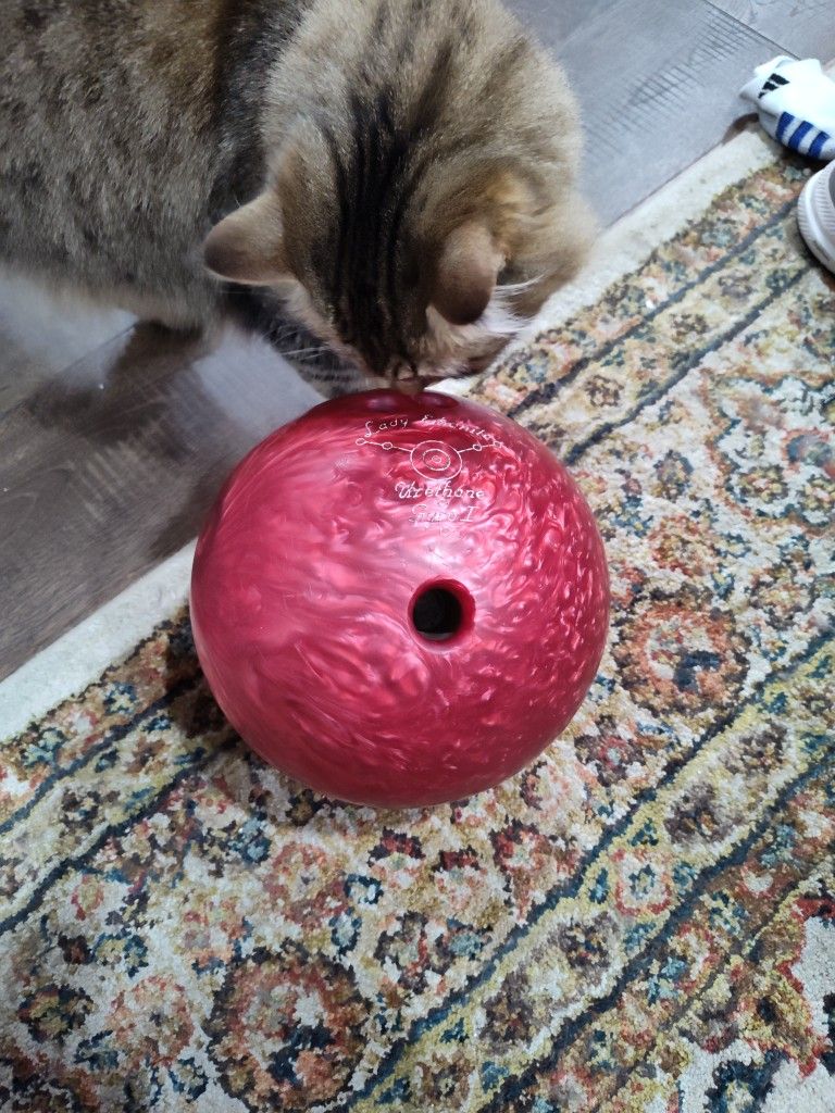 FREE Ebonite Lady Rose Gyro I Women's Bowling Ball With Bag
