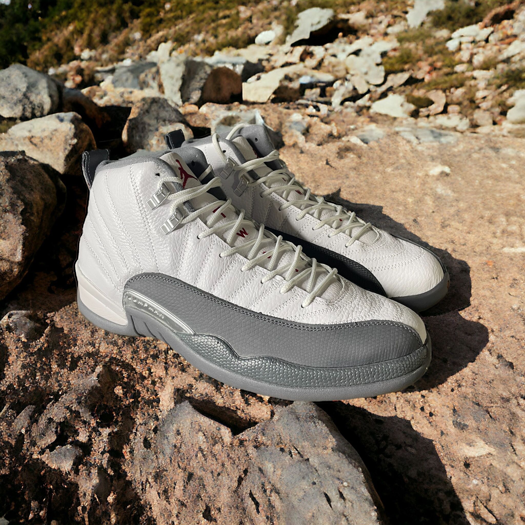 Jordan 12 Dark Gray White 