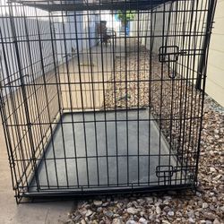 Large Dog Crate
