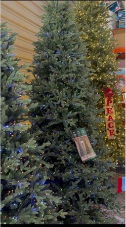 Costco Pre-Lit Aspen EZ Connect Artificial Christmas 3 sizes 7.5ft, 9ft, and 12ft