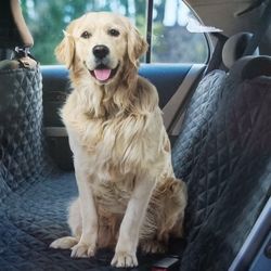Car Seat Hammock For Pets