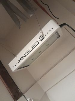 King Led Grow Light