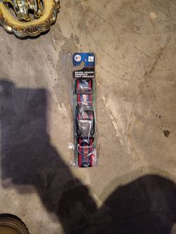  L Atlanta Pet Collar 