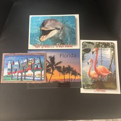 Florida Postcards!