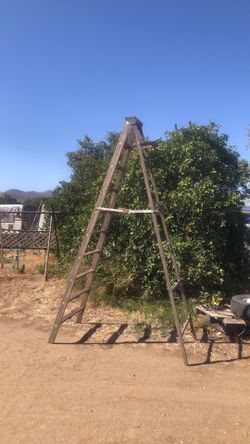 Vintage 10ft ladder