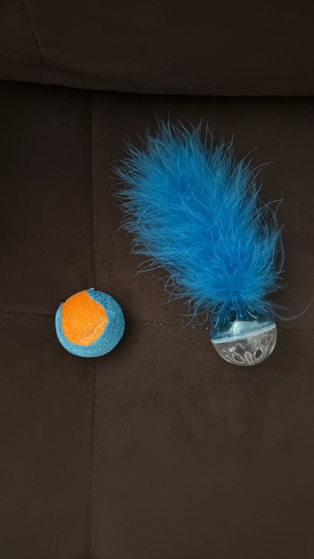 2 Cat Toys Playful
