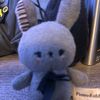 Black Rabbit 