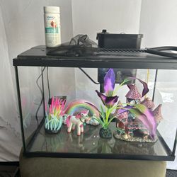 5 Gallons Aquarium Plus All Ornamental 