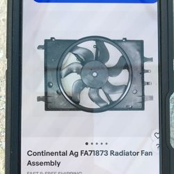 Radiator assembly cooling fan