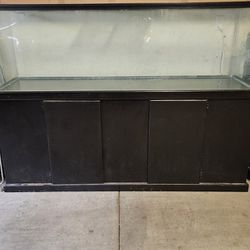 125 Gallon Aquarium With Cabinet Stand
