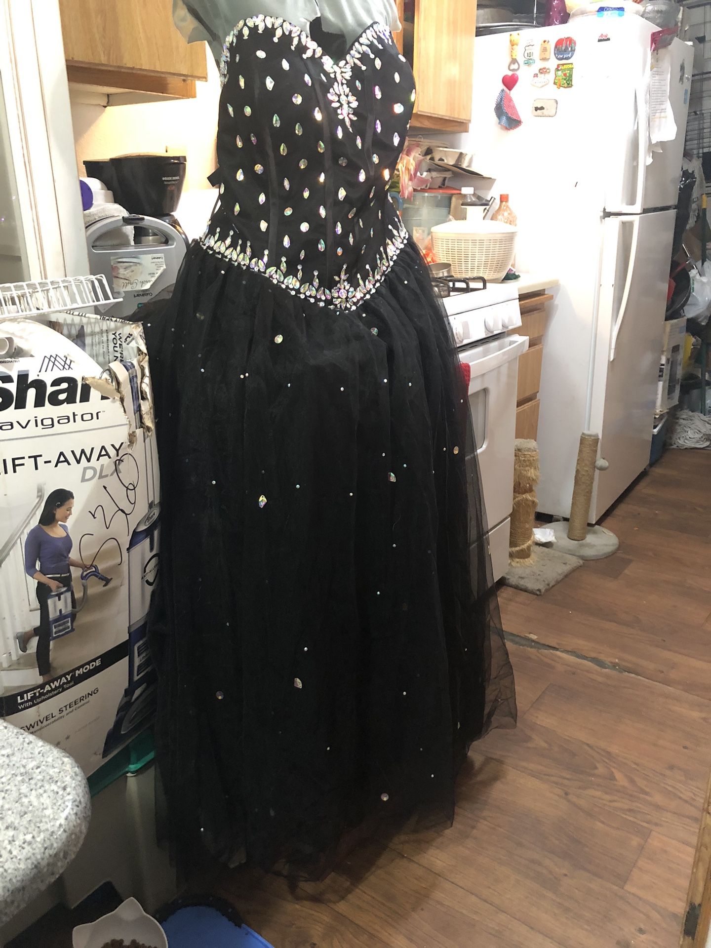 Quinceañera Black Evening Gown Plus Size