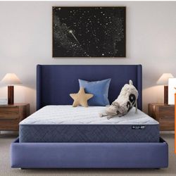 SERTA five star mattress tranquility 10 medium Twin XL