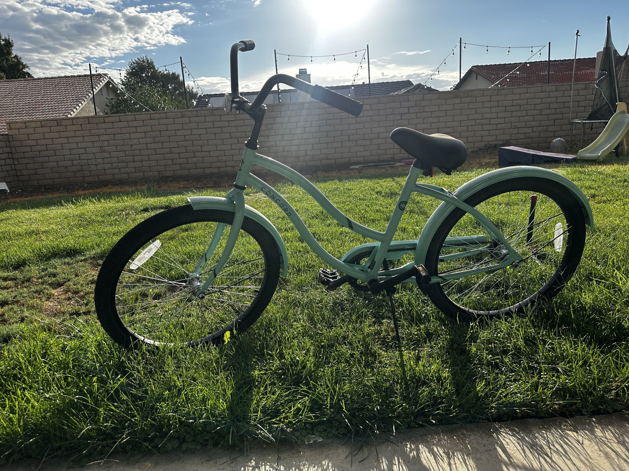Beach Cruiser Bicycle