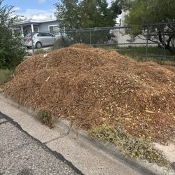 Huge Pine Mulch Pile