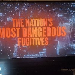 75in Mitsubishi TV