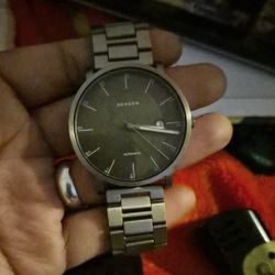 Skagen Watch