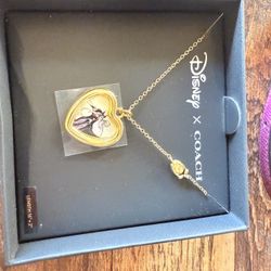 New Villains Disney Necklace (Coach) 