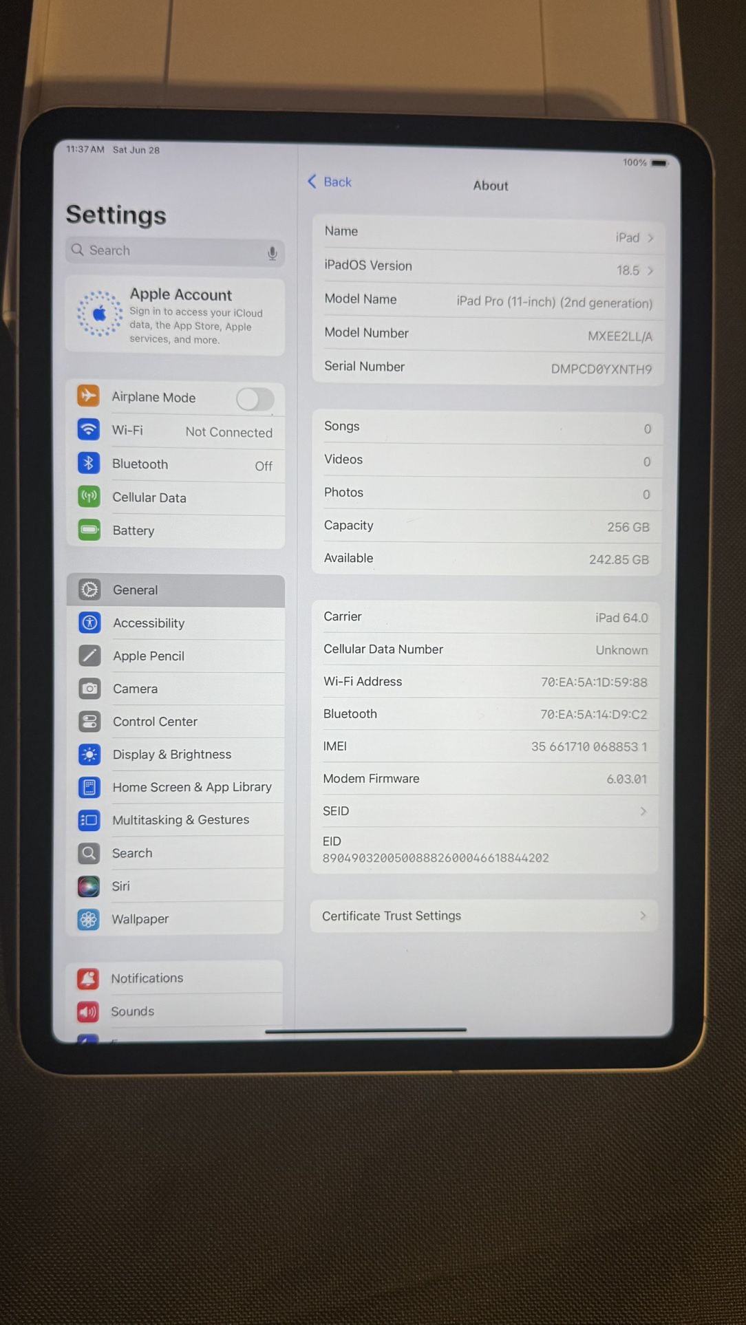 iPad Pro 11 2nd gen 256 GB With Cellular