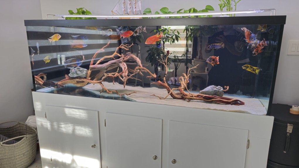 180 GALLON TANK FOR SALE!