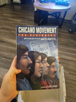 Chicano Movement for Beginners Book