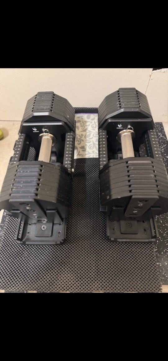 REPxPEPINS Dumbbells $1000