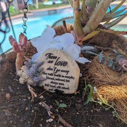 $25 Hanging Plant/ Succulent 