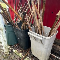 Walking Sticks
