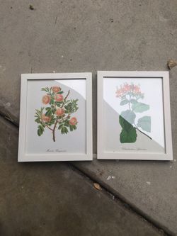 Framed Art
