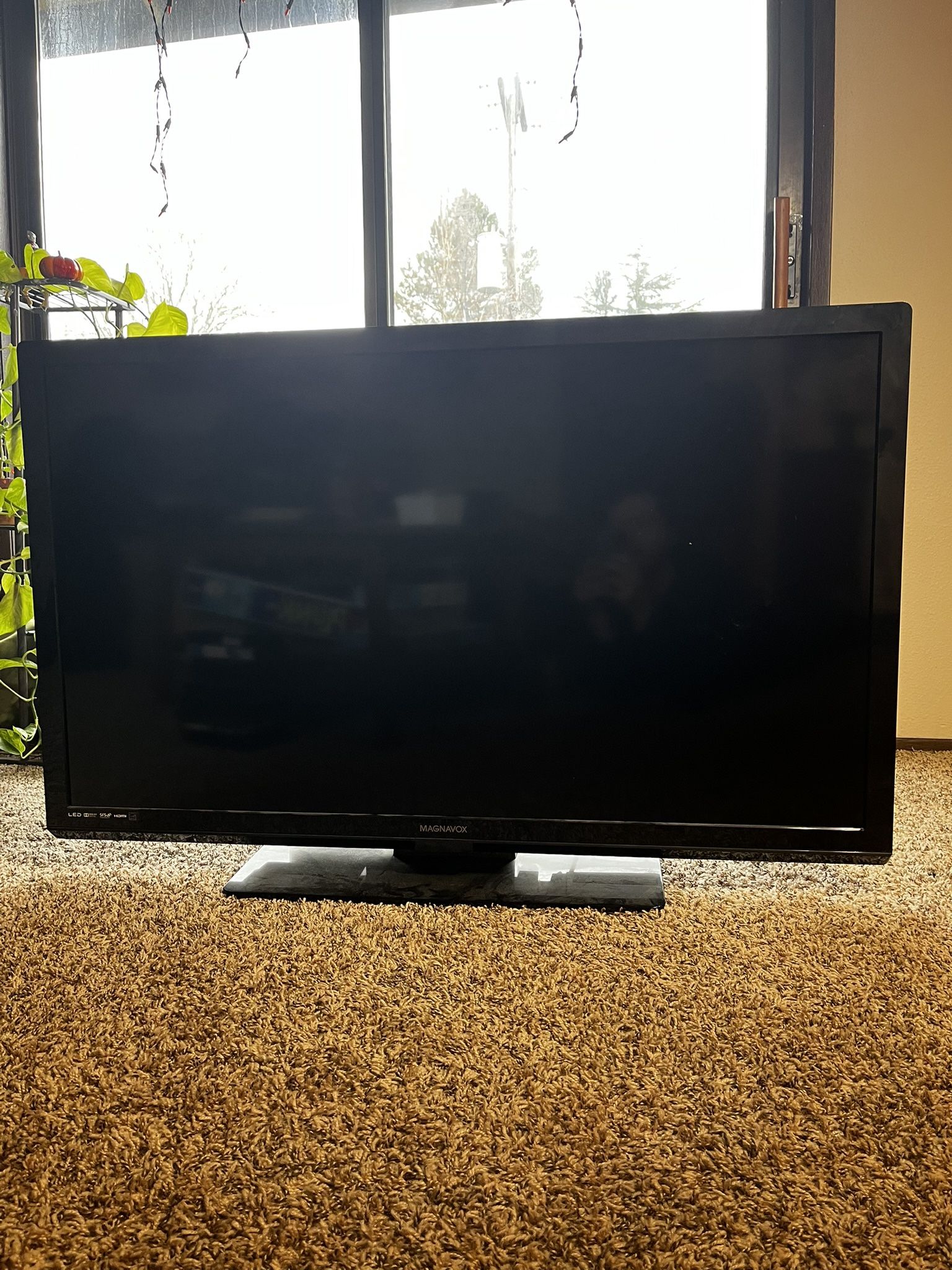 46” TV