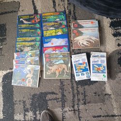 23 Wood Models/Puzzles