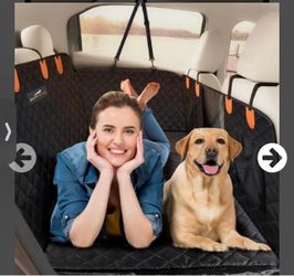 Ruffrover Polyester Dog Car Mat