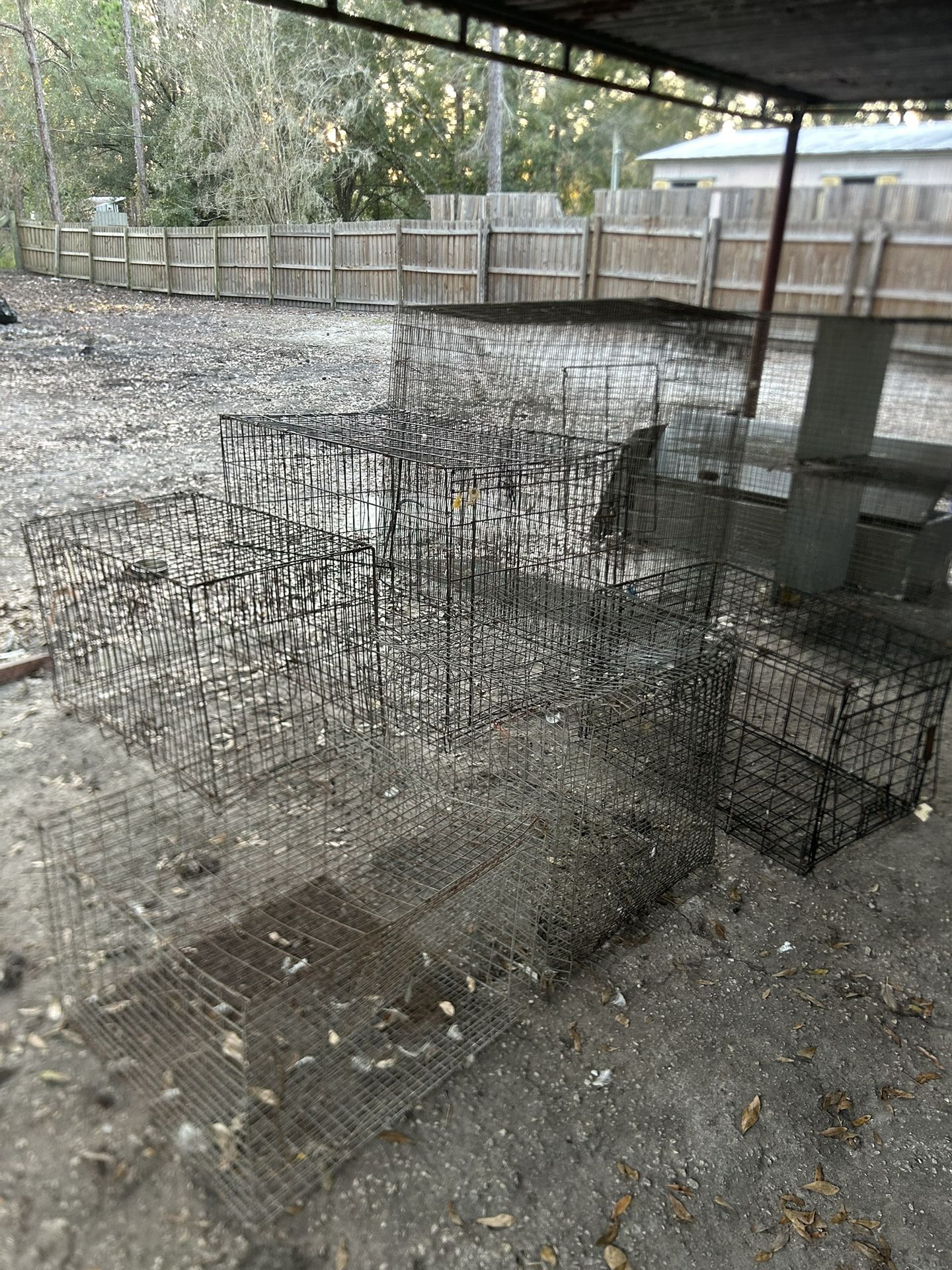 Jaulas Para Animales