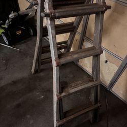 Little Giant Ladder