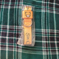 Sin City Pits Dog Collar