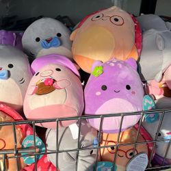 Assorted Squishmallows 
