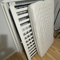 Crib / Toddler bed