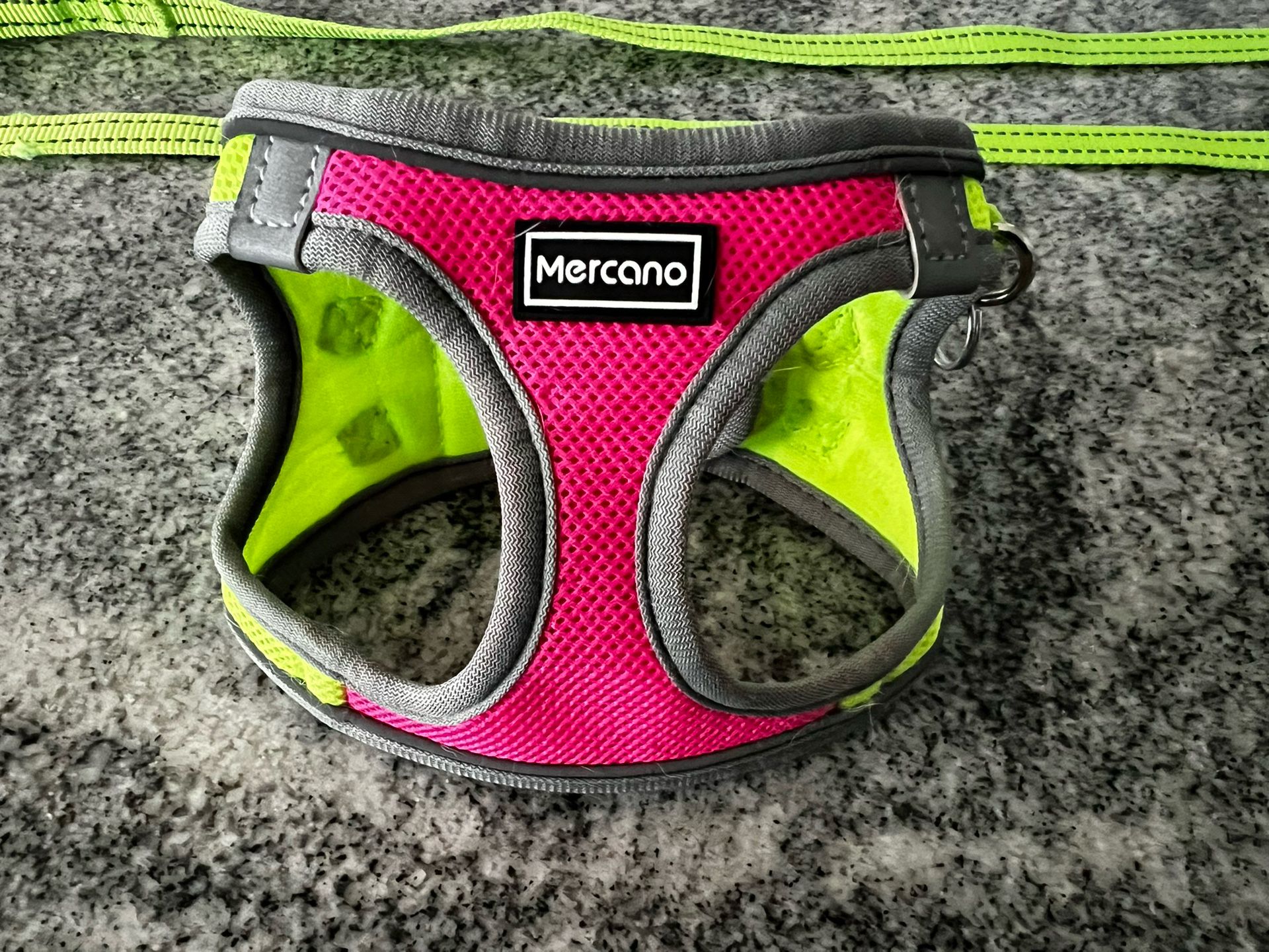 Mercano Hot Pink Bright Green Mesh Dog Harness & Leash Set
