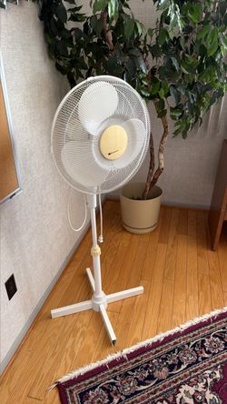 White Pedestal Standing Fan