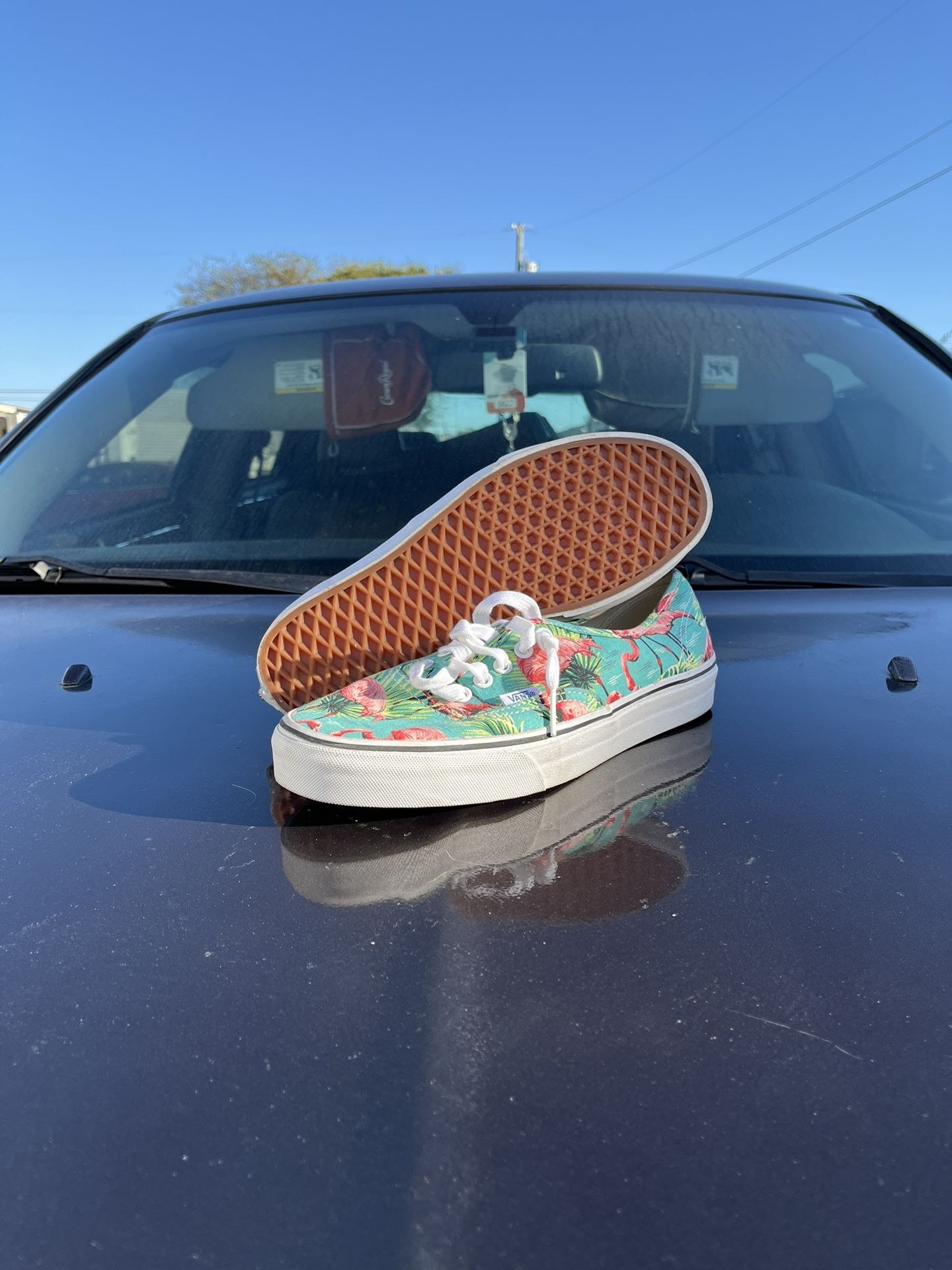 Vans Pink Flamingo Shoes