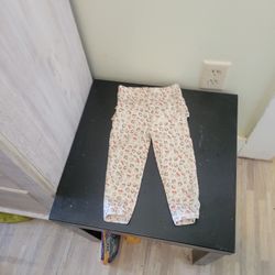 Girl Pants Size 18 Months 