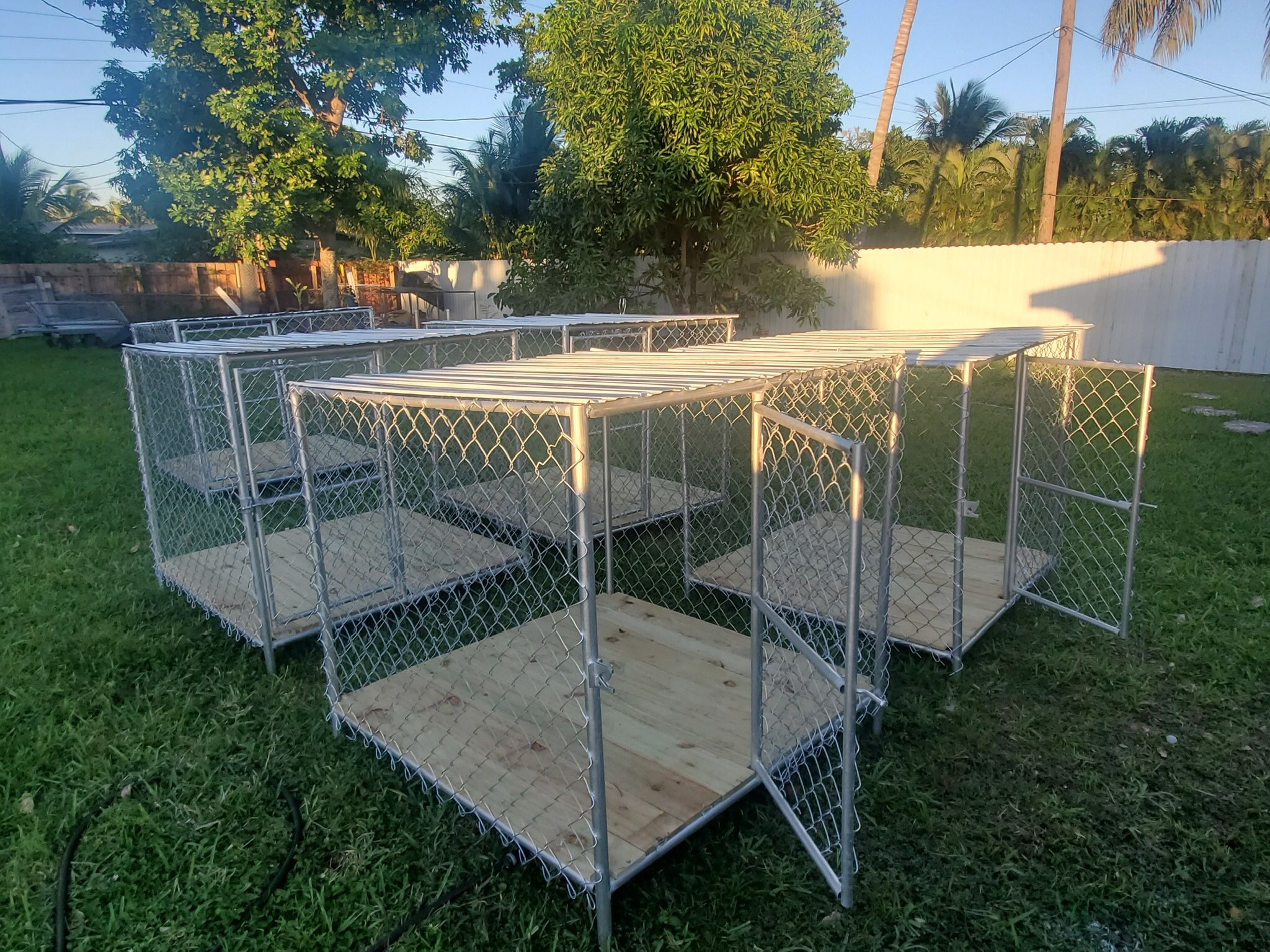 Dog Cages Any Size Style Best Prices In Florida