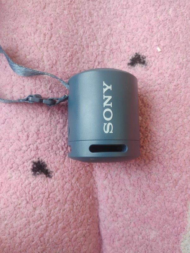 Sony Bluetooth Speaker 