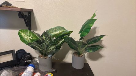 Fake Plants