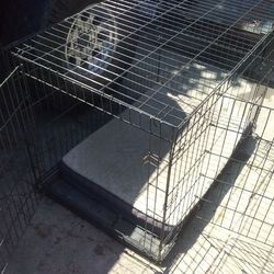 Dog Cage